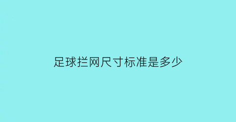 足球拦网尺寸标准是多少(足球拦网尺寸标准是多少厘米)