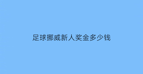 足球挪威新人奖金多少钱