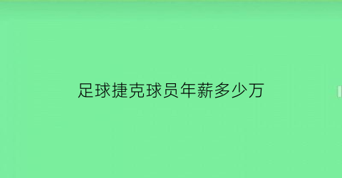 足球捷克球员年薪多少万(捷克足球队员年龄)