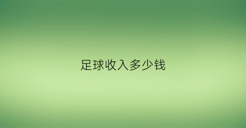 足球收入多少钱(足球收入)