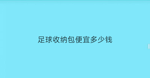 足球收纳包便宜多少钱(足球收纳包便宜多少钱啊)