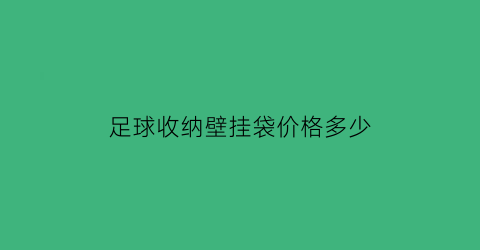 足球收纳壁挂袋价格多少(足球收纳壁挂袋价格多少合适)