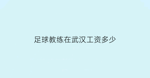 足球教练在武汉工资多少(武汉足球教练组)