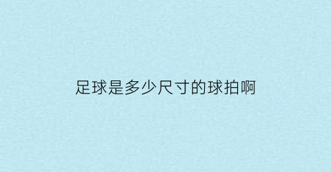 足球是多少尺寸的球拍啊(标准足球几寸的)