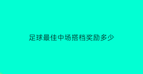 足球最佳中场搭档奖励多少