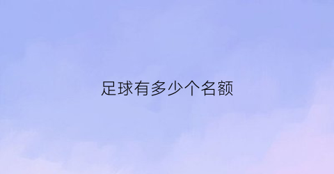 足球有多少个名额