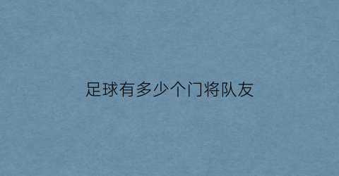 足球有多少个门将队友(足球有多少个门将队友名字)