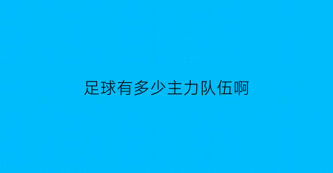 足球有多少主力队伍啊