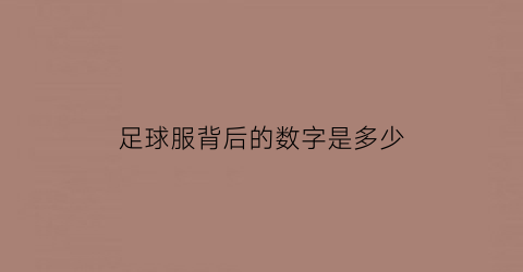 足球服背后的数字是多少