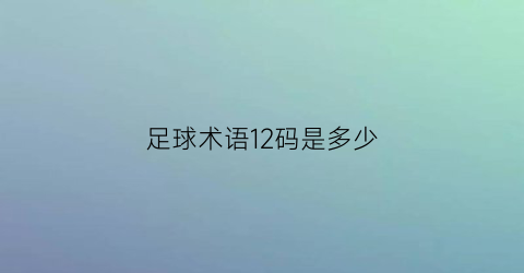 足球术语12码是多少(足球的12码是多少米)