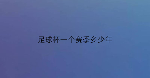 足球杯一个赛季多少年