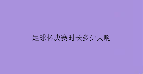 足球杯决赛时长多少天啊