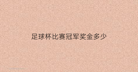 足球杯比赛冠军奖金多少(足球冠军奖杯叫什么)