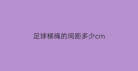 足球梯绳的间距多少cm