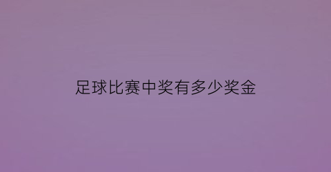 足球比赛中奖有多少奖金(足球一等奖多少钱)