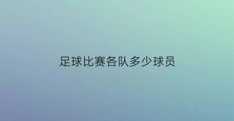 足球比赛各队多少球员