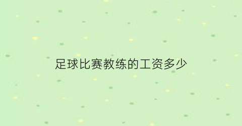 足球比赛教练的工资多少(足球比赛教练的工资多少啊)