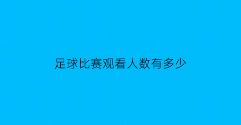 足球比赛观看人数有多少