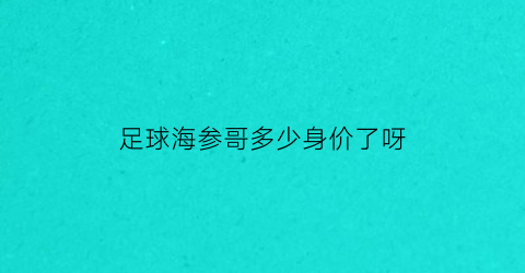 足球海参哥多少身价了呀