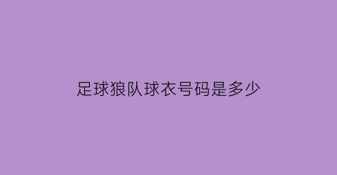 足球狼队球衣号码是多少(狼队主客场球衣)