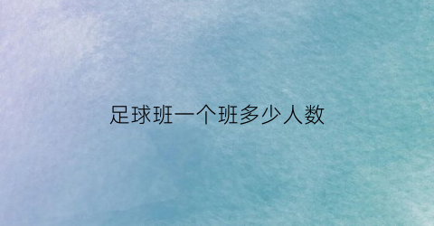 足球班一个班多少人数(足球班一个班多少人数合适)