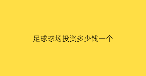 足球球场投资多少钱一个