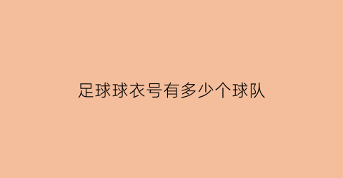 足球球衣号有多少个球队(足球球衣号有多少个球队组成)