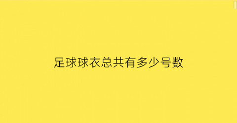 足球球衣总共有多少号数