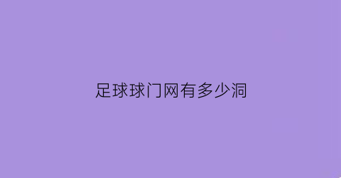 足球球门网有多少洞