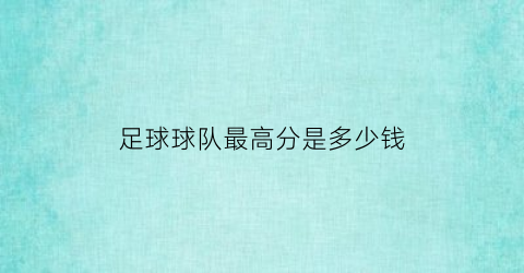 足球球队最高分是多少钱(足球比赛最高分是多少分)