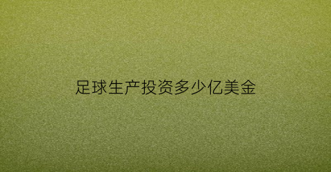 足球生产投资多少亿美金(投资足球的企业)