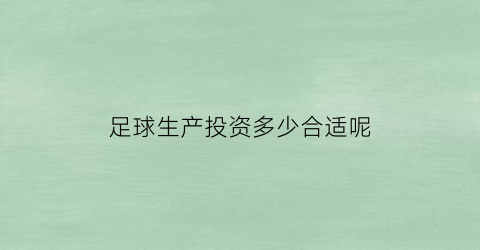 足球生产投资多少合适呢(足球生产投资多少合适呢)