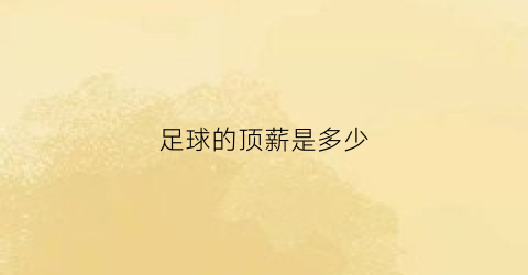 足球的顶薪是多少(2021足球顶薪)