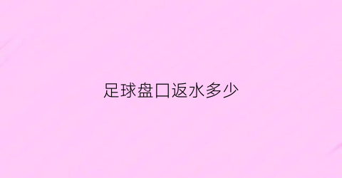 足球盘囗返水多少(足球盘水什么意思)