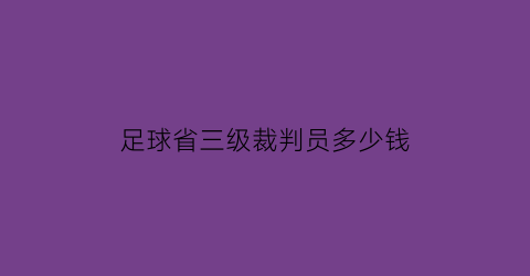 足球省三级裁判员多少钱(三级足球裁判员培训费用)