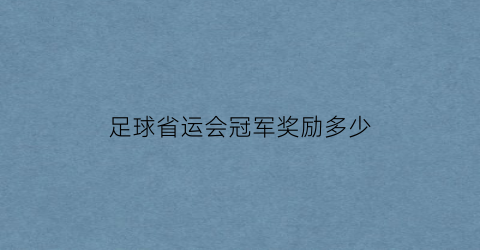 足球省运会冠军奖励多少(足球省运会冠军奖励多少钱一个)