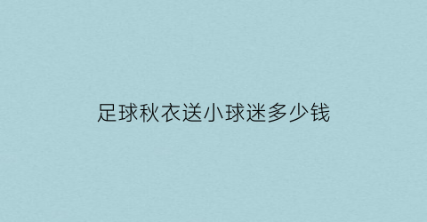 足球秋衣送小球迷多少钱(足球球衣多少钱一件)