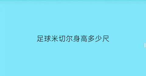 足球米切尔身高多少尺(足球米切尔身高多少尺)