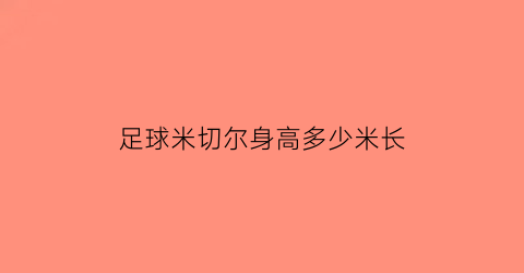 足球米切尔身高多少米长