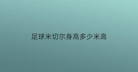 足球米切尔身高多少米高