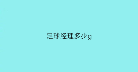 足球经理多少g