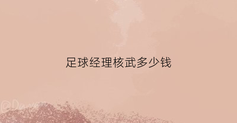 足球经理核武多少钱