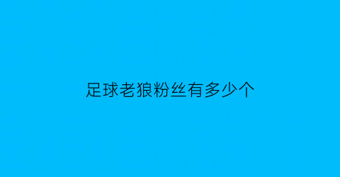 足球老狼粉丝有多少个(足球老狼老狼几点了)