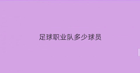 足球职业队多少球员