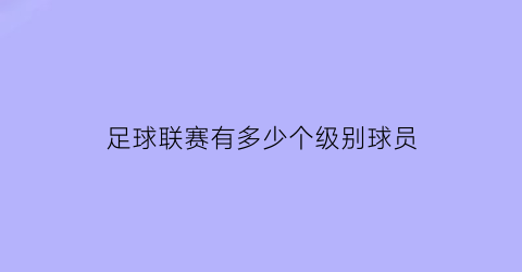 足球联赛有多少个级别球员