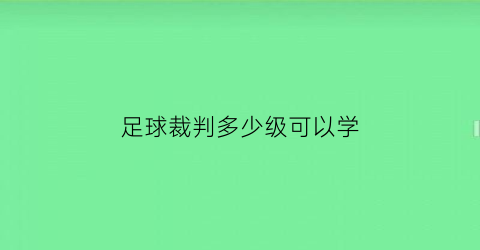 足球裁判多少级可以学(足球裁判多少级可以学会)