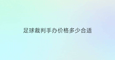 足球裁判手办价格多少合适(足球裁判手游)