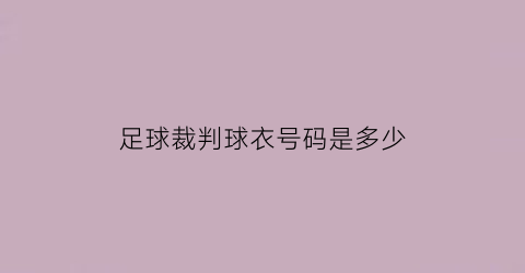 足球裁判球衣号码是多少(足球裁判服图片)