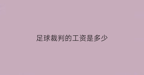 足球裁判的工资是多少(足球裁判的工资是多少钱一个月)