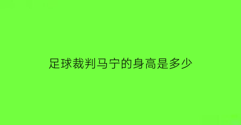 足球裁判马宁的身高是多少